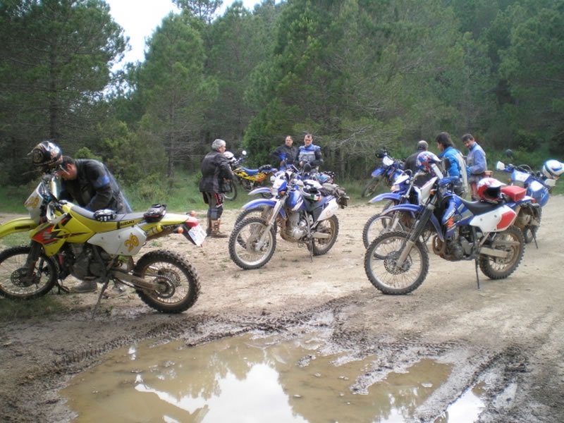 P6150567a [800x600]_jpg